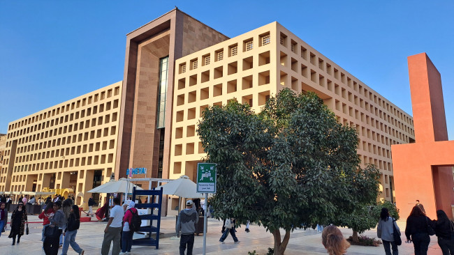 the American University in Cairo