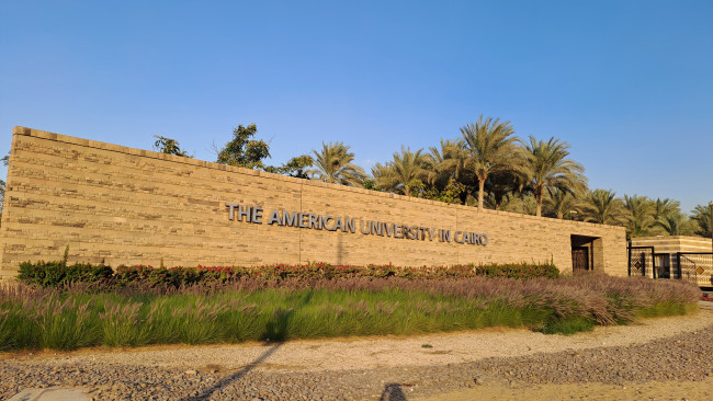 the American University in Cairo