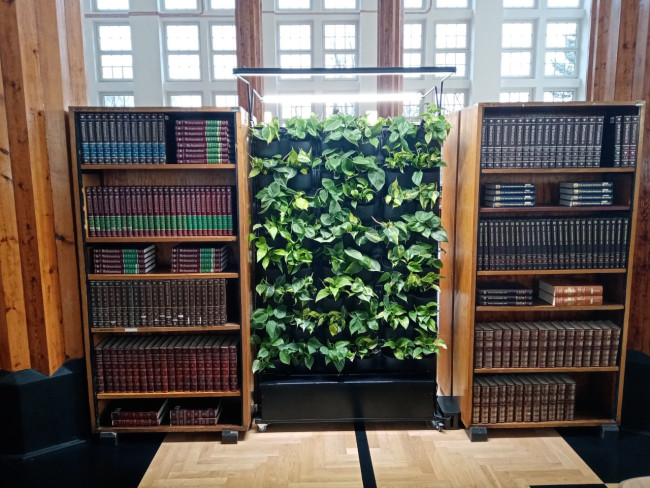 zieleń w Czytelni SGH