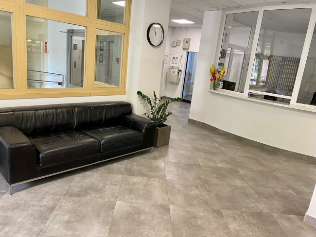 Akademik Sabinki – recepcja