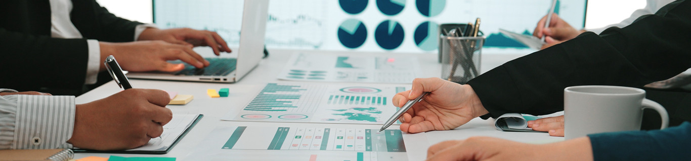Financial data analysis and business decision-making in a professional corporate environment