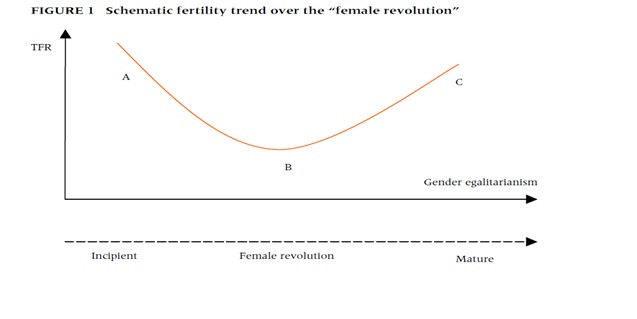 wykres Schematic fertility trend over the "female revolution"