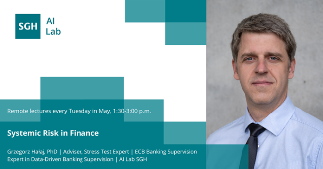 Systemic Risk in Finance