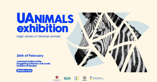 Wystawa fotograficzna UAnimals